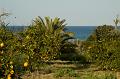 Chypre07 - 2007-03-11_16-20-26